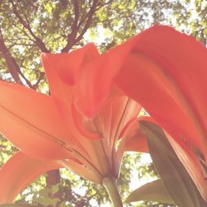 Meet your Posher, Renee